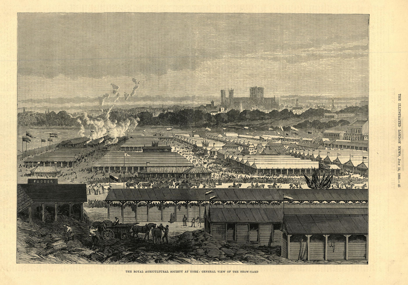 The Royal Agricultural Society at York: view of the show-yard. Yorkshire 1883